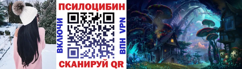 блэк спрут зеркало Ликино-Дулёво Галлюциногенные грибы Magic Shrooms
