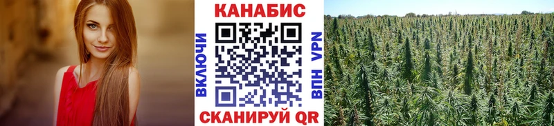 Бошки Шишки индика  MEGA ссылки  Ликино-Дулёво 