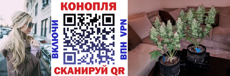 Бошки марихуана семена Ликино-Дулёво